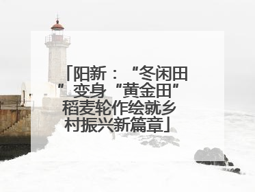 阳新：“冬闲田”变身“黄金田” 稻麦轮作绘就乡村振兴新篇章
