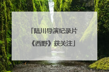 陆川导演纪录片《西野》获关注