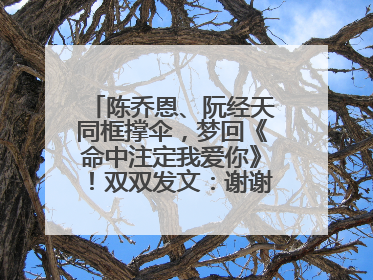 陈乔恩、阮经天同框撑伞，梦回《命中注定我爱你》！双双发文：谢谢我们都没变