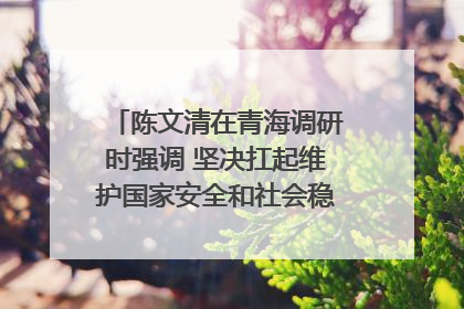 陈文清在青海调研时强调 坚决扛起维护国家安全和社会稳定职责使命 为谱写中国式现代化青海篇章贡献政法力量