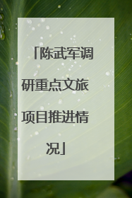 陈武军调研重点文旅项目推进情况