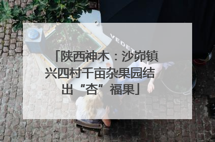 陕西神木：沙峁镇兴四村千亩杂果园结出“杏”福果
