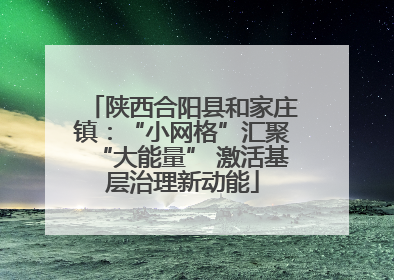 陕西合阳县和家庄镇：“小网格”汇聚“大能量” 激活基层治理新动能
