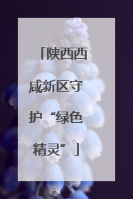 陕西西咸新区守护“绿色精灵”