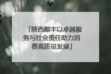 陕西顺丰以卓越服务与社会责任助力消费高质量发展