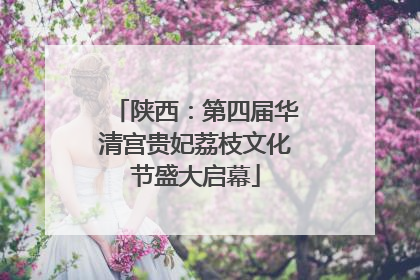 陕西：第四届华清宫贵妃荔枝文化节盛大启幕