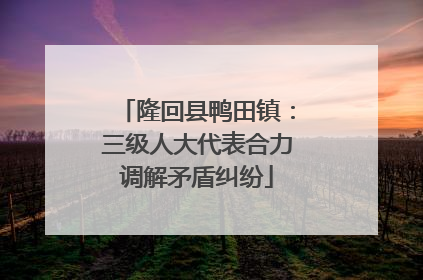 隆回县鸭田镇：三级人大代表合力调解矛盾纠纷
