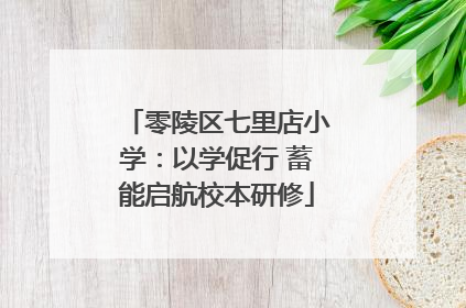 零陵区七里店小学：以学促行 蓄能启航校本研修