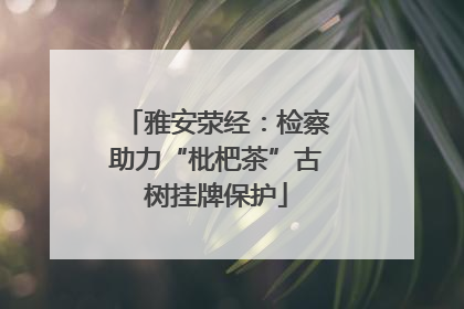 雅安荥经：检察助力“枇杷茶”古树挂牌保护