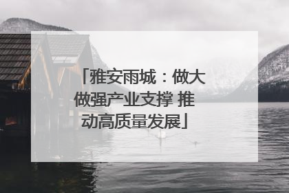 雅安雨城：做大做强产业支撑 推动高质量发展