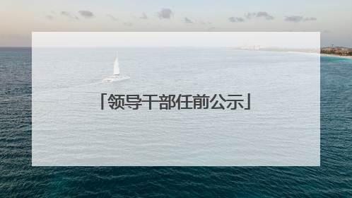 领导干部任前公示