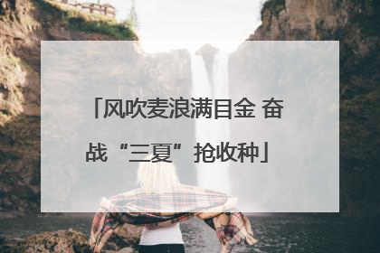 风吹麦浪满目金 奋战“三夏”抢收种