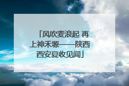 风吹麦浪起 再上神禾塬——陕西西安夏收见闻