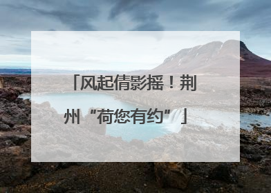 风起倩影摇！荆州“荷您有约”