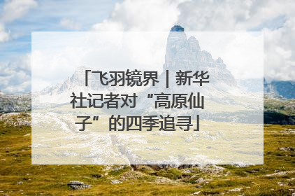 飞羽镜界｜新华社记者对“高原仙子”的四季追寻