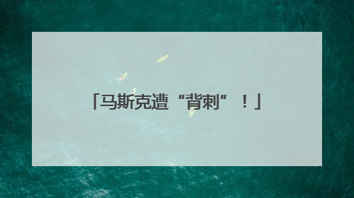 马斯克遭“背刺”！