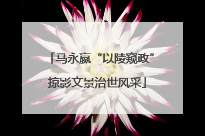 马永嬴“以陵窥政” 掠影文景治世风采