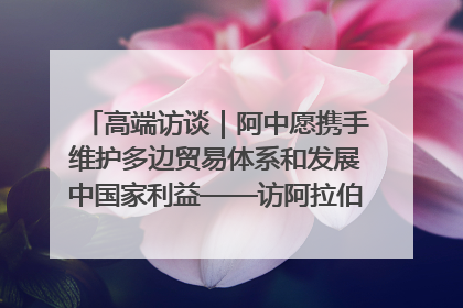 高端访谈｜阿中愿携手维护多边贸易体系和发展中国家利益——访阿拉伯议会议长亚马希