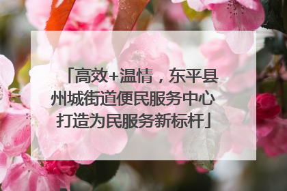 高效+温情，东平县州城街道便民服务中心打造为民服务新标杆