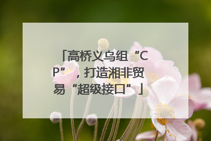 高桥义乌组“CP”，打造湘非贸易“超级接口”