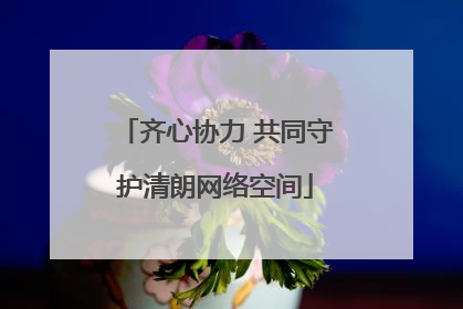齐心协力 共同守护清朗网络空间