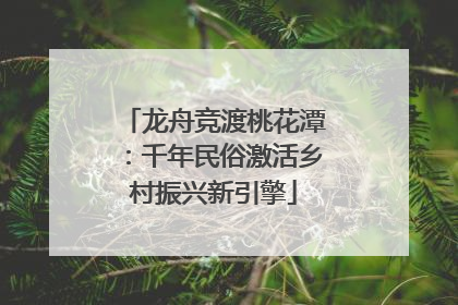 龙舟竞渡桃花潭：千年民俗激活乡村振兴新引擎