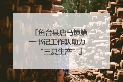 鱼台县唐马镇第一书记工作队助力“三夏生产”