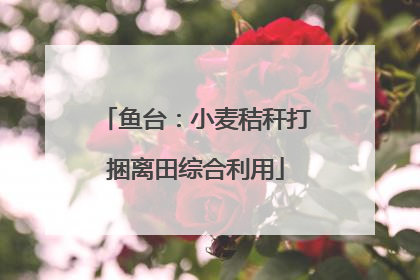 鱼台：小麦秸秆打捆离田综合利用