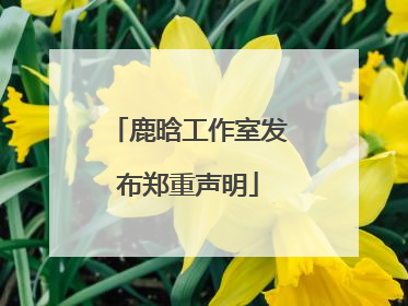 鹿晗工作室发布郑重声明
