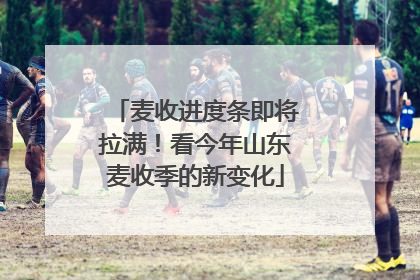 麦收进度条即将拉满！看今年山东麦收季的新变化