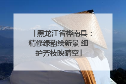 黑龙江省桦南县：精修绿韵绘新景 细护芳枝映晴空