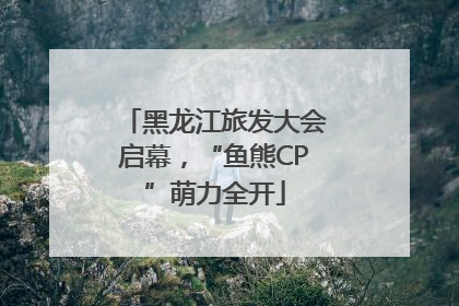 黑龙江旅发大会启幕，“鱼熊CP”萌力全开