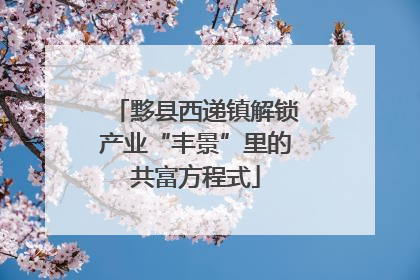 黟县西递镇解锁产业“丰景”里的共富方程式