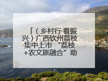 （乡村行·看振兴）广西钦州荔枝集中上市 “荔枝+农文旅融合”助农增收