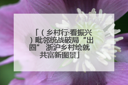 （乡村行·看振兴）毗邻统战破局“出圈” 浙沪乡村绘就共富新图景