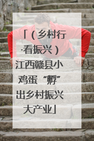 （乡村行·看振兴）江西赣县小鸡蛋“孵”出乡村振兴大产业