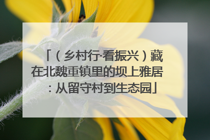 （乡村行·看振兴）藏在北魏重镇里的坝上雅居：从留守村到生态园