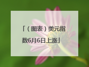 （图表）美元指数6月6日上涨