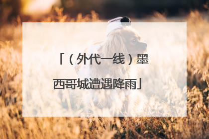 （外代一线）墨西哥城遭遇降雨