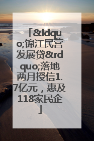 “锦江民营发展贷”落地两月授信1.7亿元，惠及118家民企