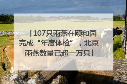 107只雨燕在颐和园完成“年度体检”，北京雨燕数量已超一万只