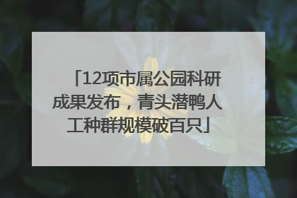 12项市属公园科研成果发布，青头潜鸭人工种群规模破百只