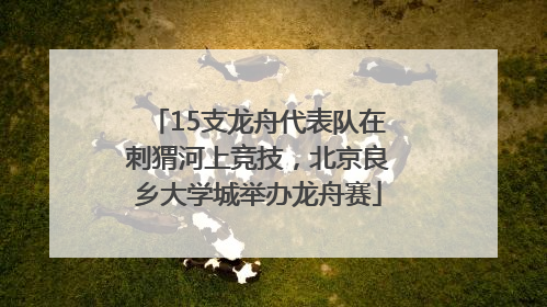 15支龙舟代表队在刺猬河上竞技，北京良乡大学城举办龙舟赛