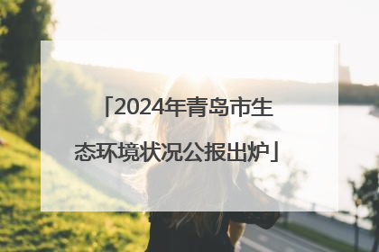 2024年青岛市生态环境状况公报出炉