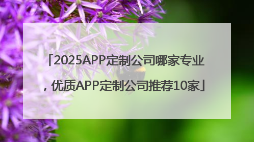 2025APP定制公司哪家专业，优质APP定制公司推荐10家