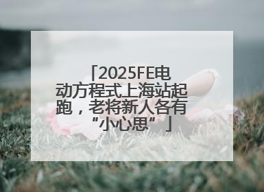 2025FE电动方程式上海站起跑，老将新人各有“小心思”