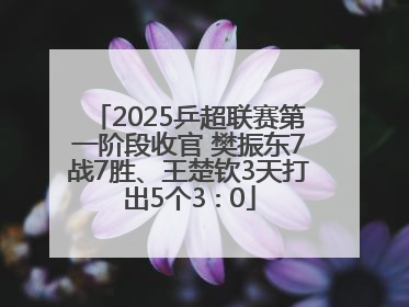 2025乒超联赛第一阶段收官 樊振东7战7胜、王楚钦3天打出5个3∶0