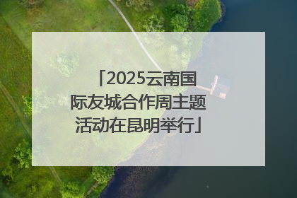 2025云南国际友城合作周主题活动在昆明举行