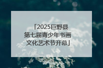 2025巨野县第七届青少年书画文化艺术节开幕