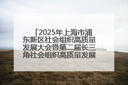 2025年上海市浦东新区社会组织高质量发展大会暨第二届长三角社会组织高质量发展峰会成功举办